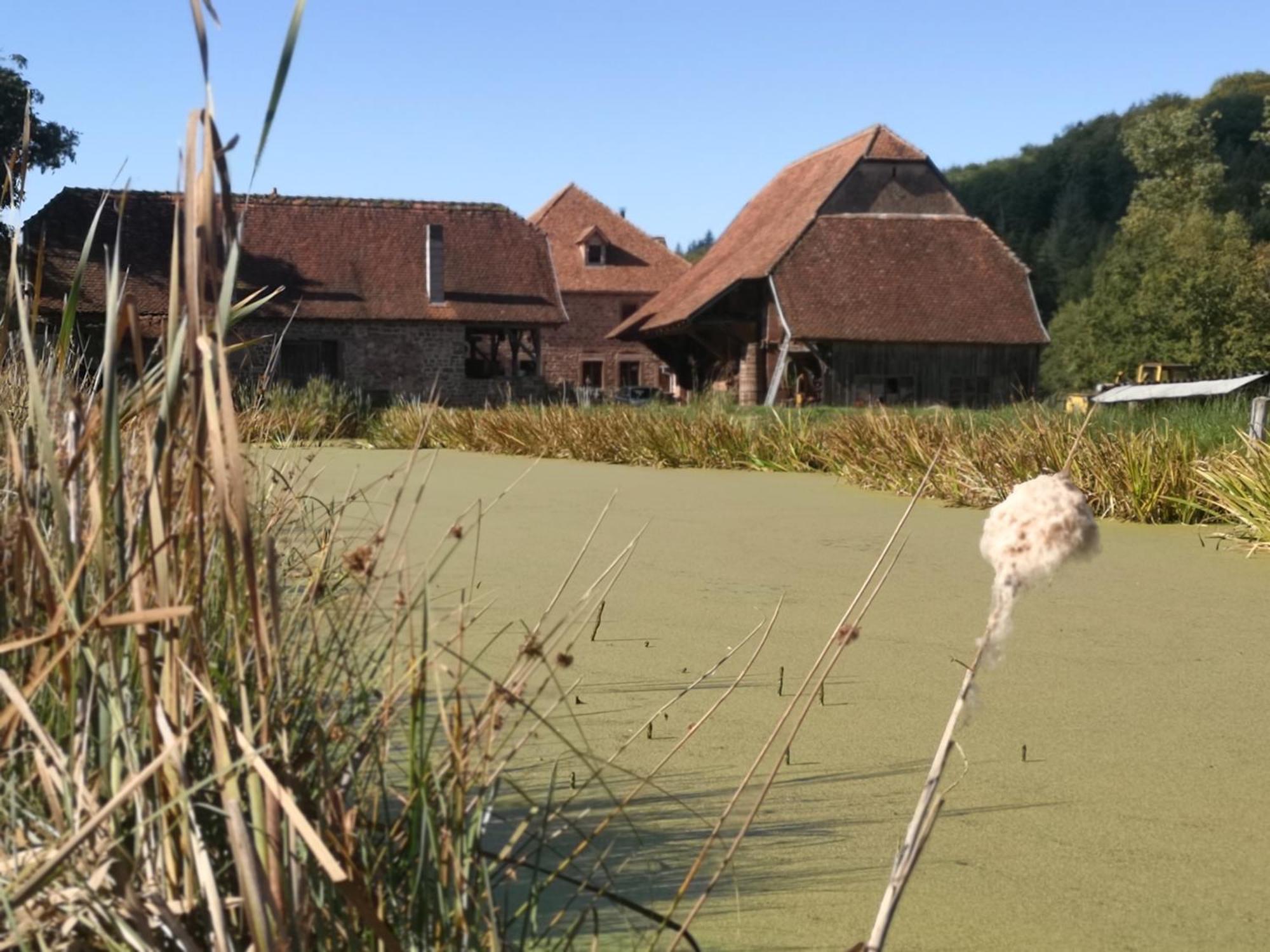 Maison D'Hotes De Charme - Ancien Moulin En Pleine Nature - La Paulusmuehle Soucht Exterior photo