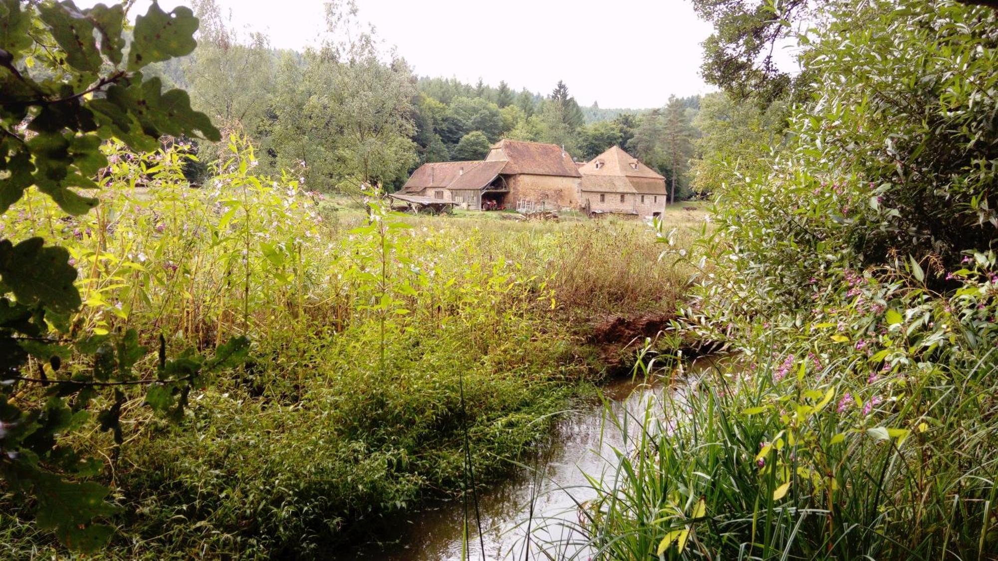 Maison D'Hotes De Charme - Ancien Moulin En Pleine Nature - La Paulusmuehle Soucht Exterior photo