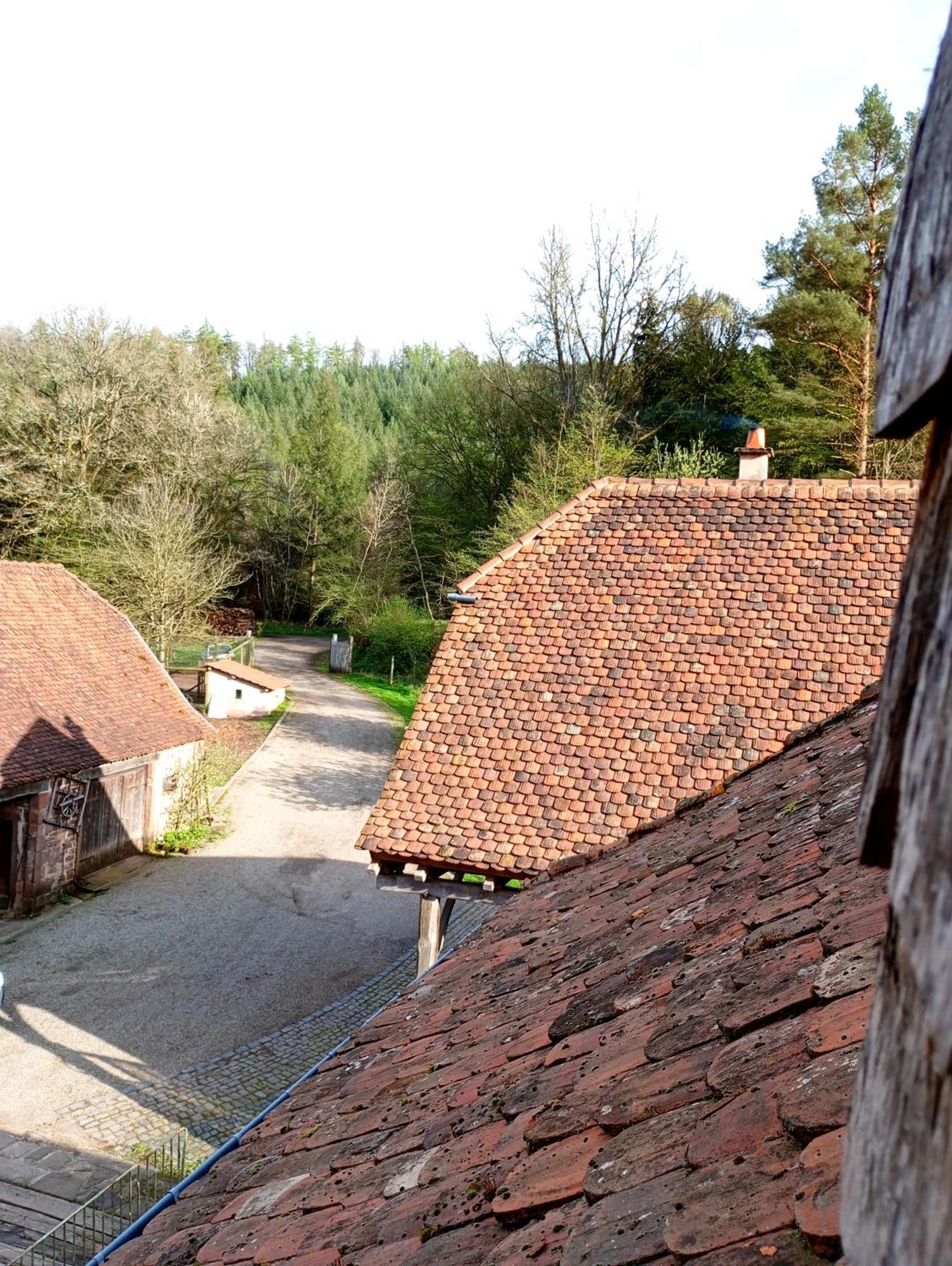 Maison D'Hotes De Charme - Ancien Moulin En Pleine Nature - La Paulusmuehle Soucht Exterior photo